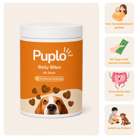 Belly Bites