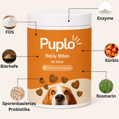 Belly Bites